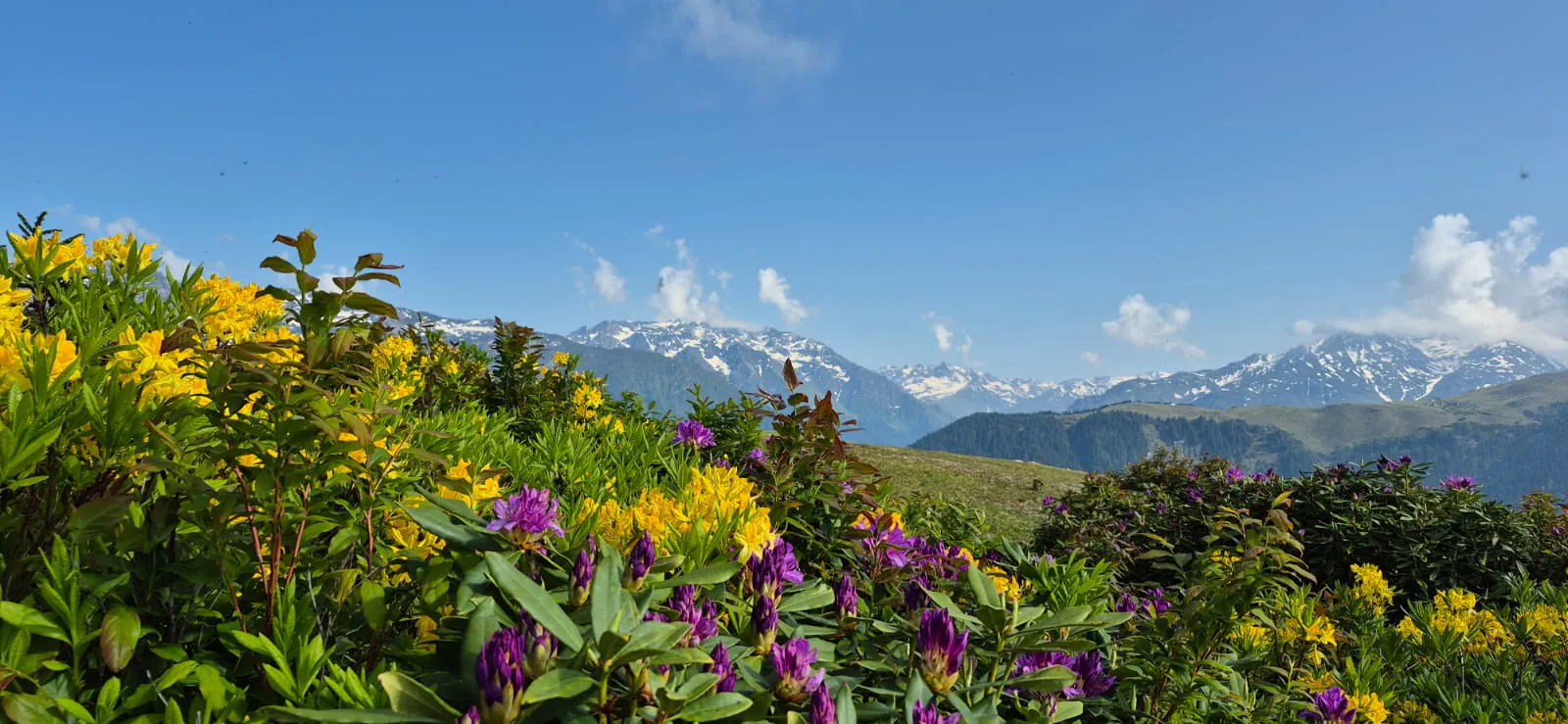 Bee hive and honey production